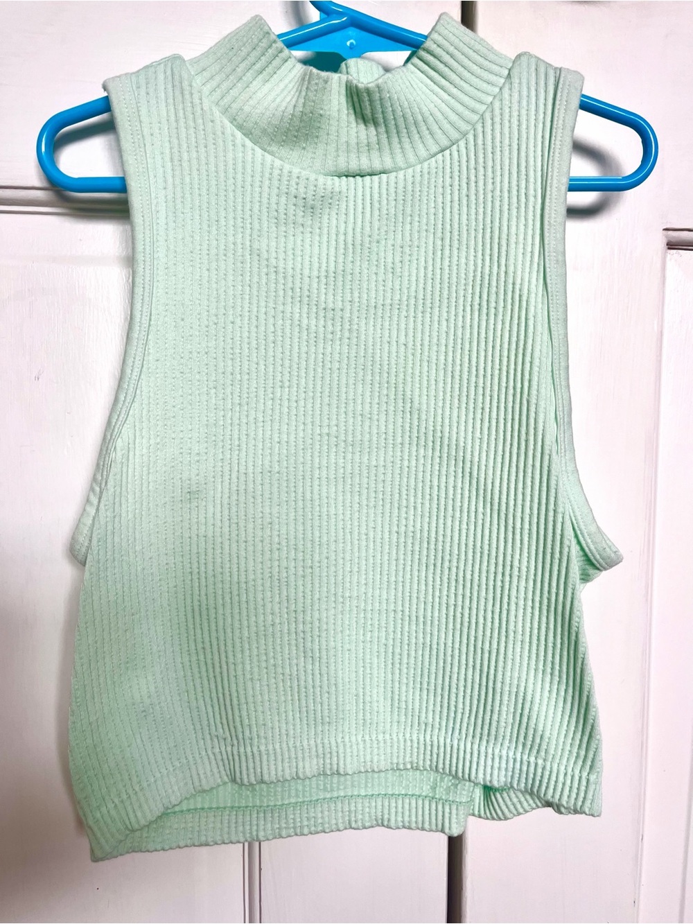 Ribbed Mock Neck Cropped Tank Top in Mint